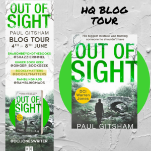 Read more about the article HQ Blog Tour : Out of Sight