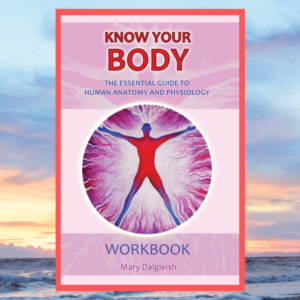 Read more about the article Know Your Body: Workbook