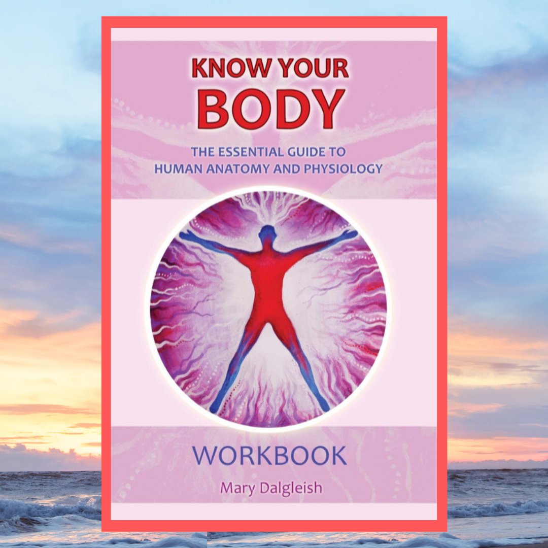 You are currently viewing Know Your Body: Workbook