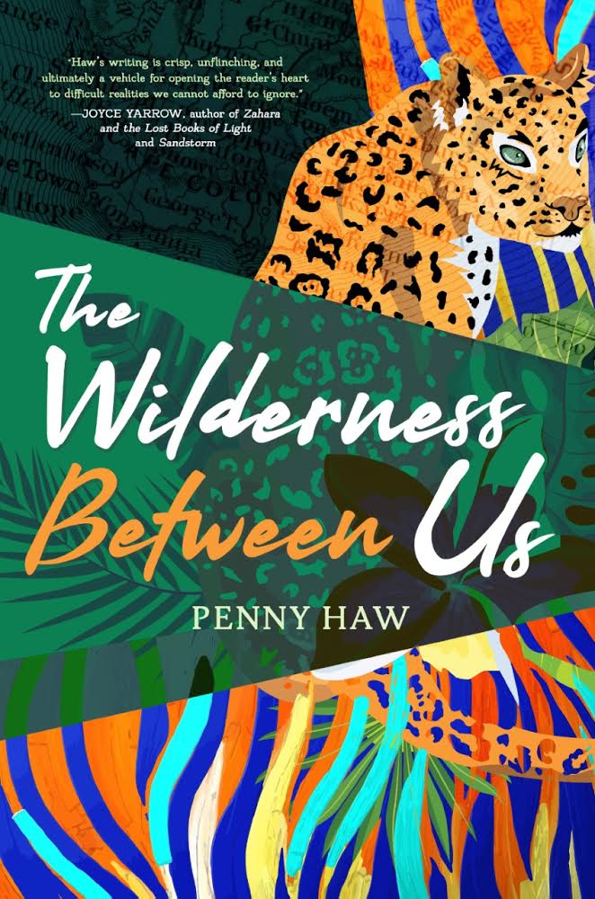 Read more about the article The Wilderness Between Us
