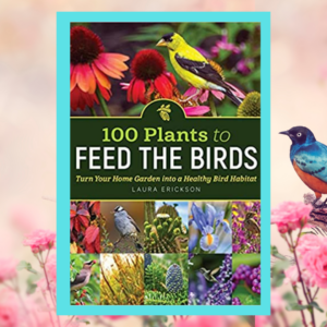 Read more about the article 100 Plants to Feed the Birds