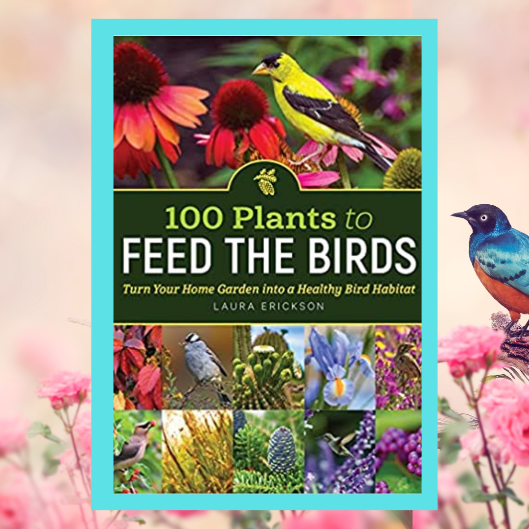 You are currently viewing 100 Plants to Feed the Birds