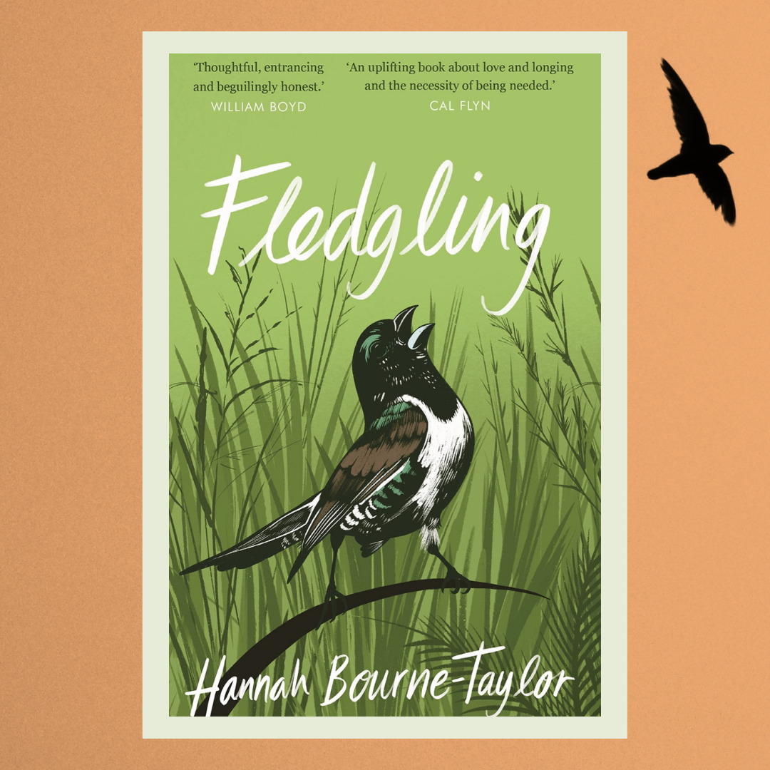 Read more about the article Fledgling
