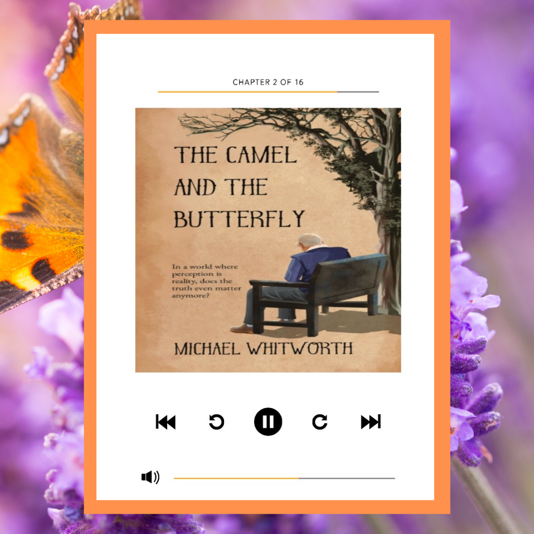 Read more about the article The Camel and the Butterfly