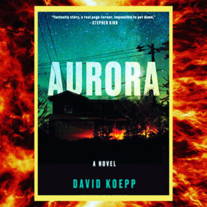 Read more about the article Aurora