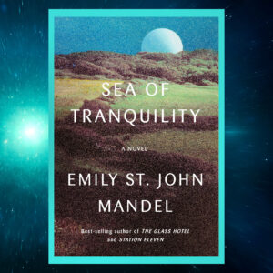 Read more about the article Sea of Tranquility