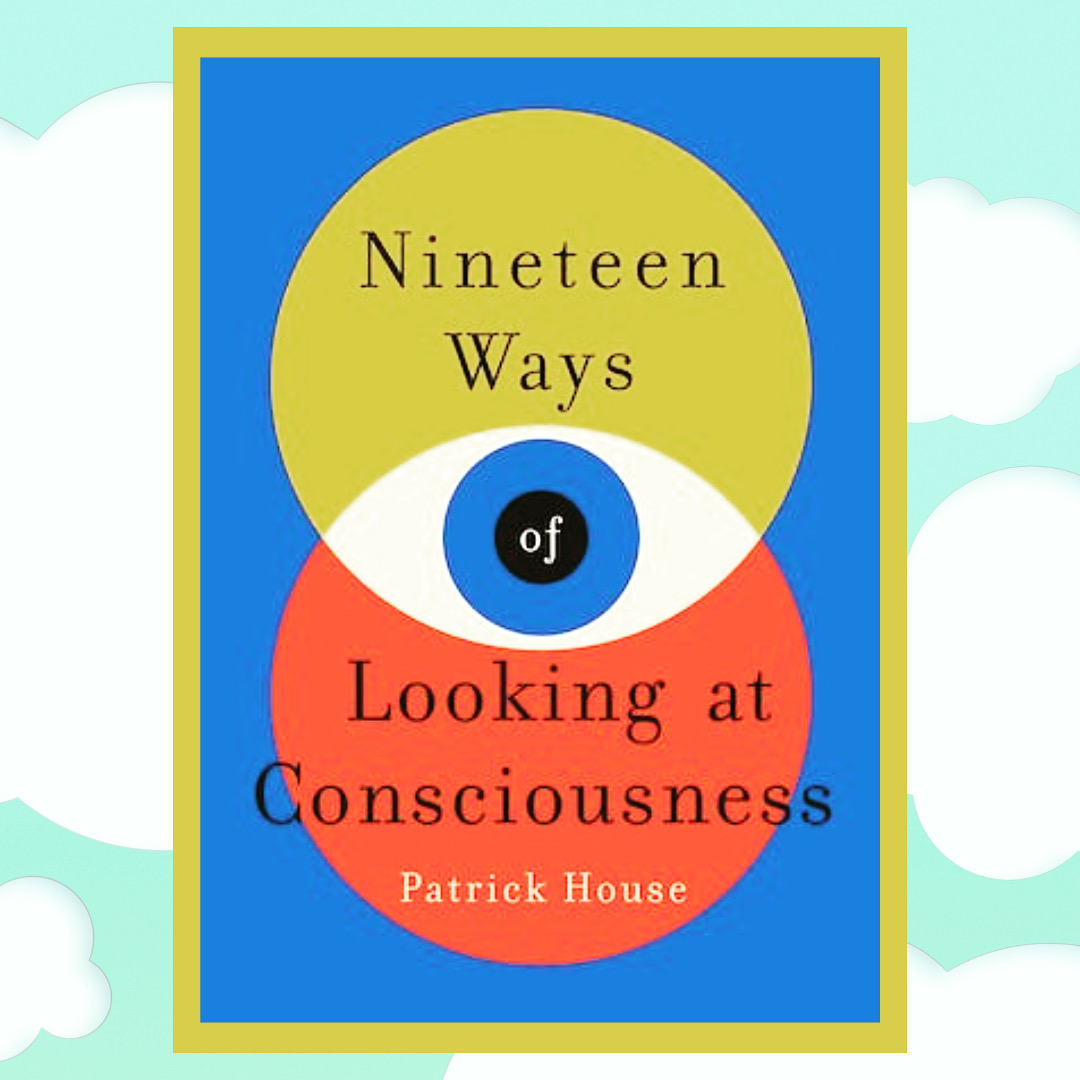 You are currently viewing Nineteen Ways of Looking at Consciousness