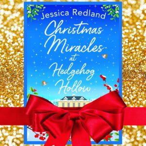 Read more about the article Christmas Miracles at Hedgehog Hollow