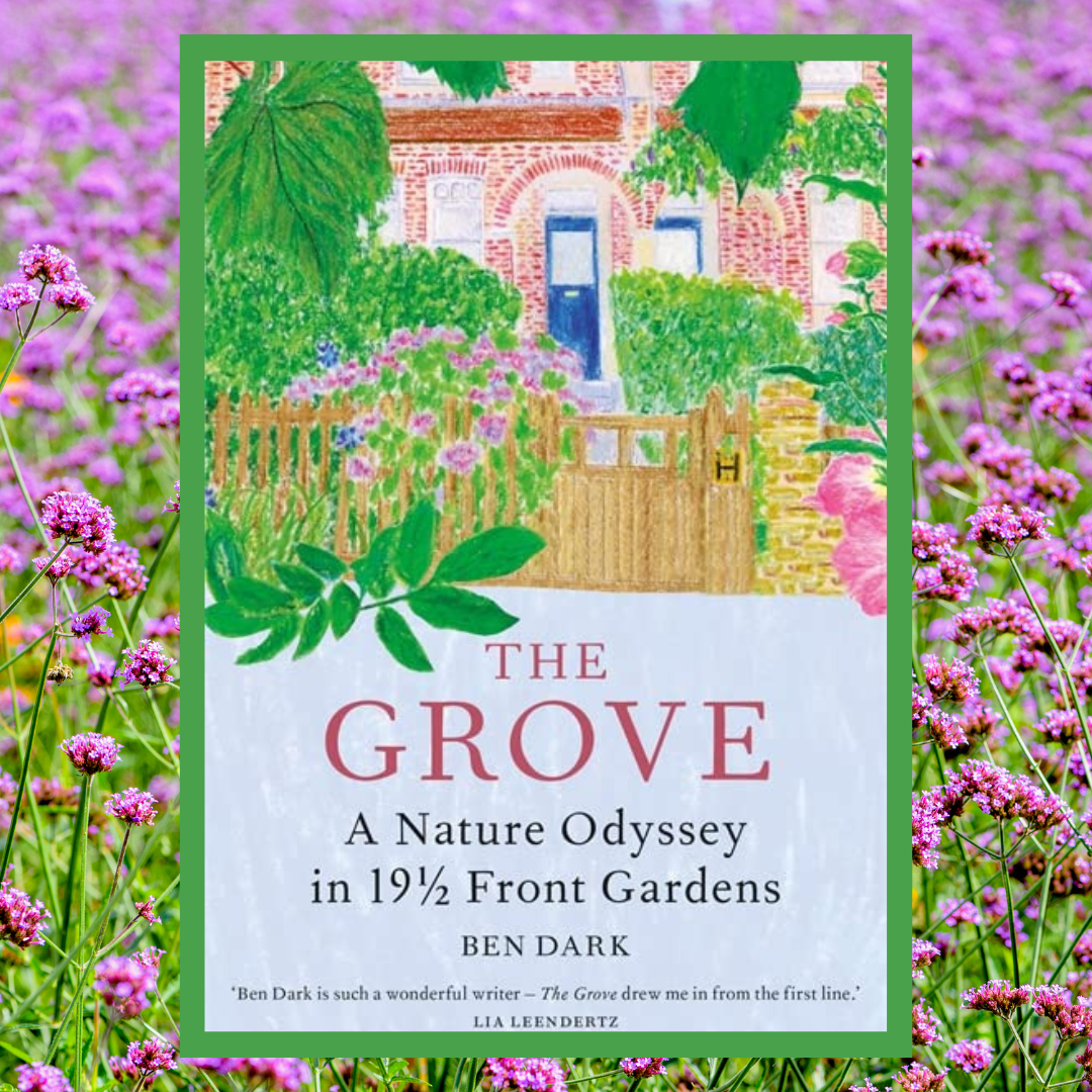 Read more about the article The Grove