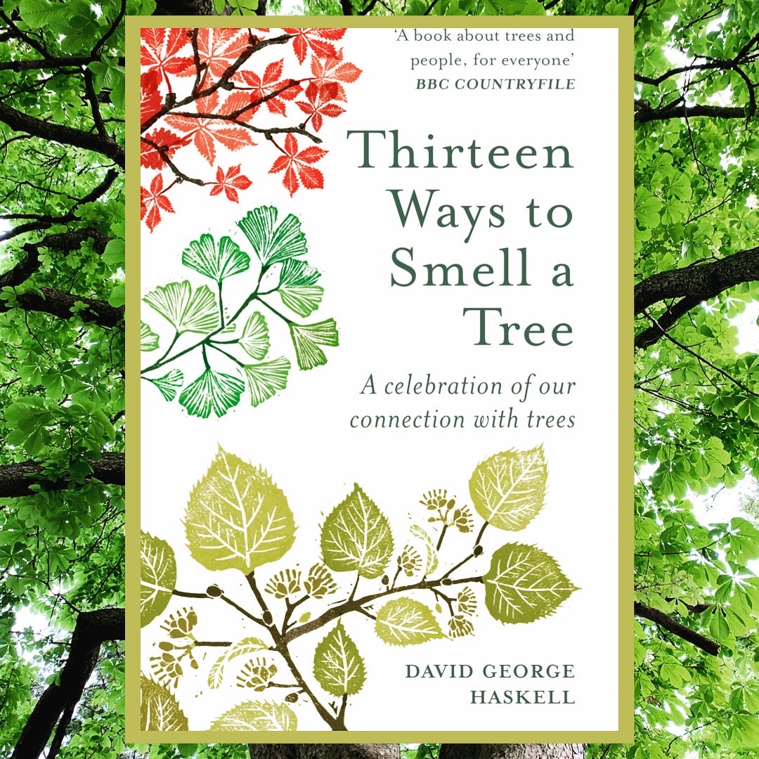 Read more about the article Thirteen ways to smell a tree
