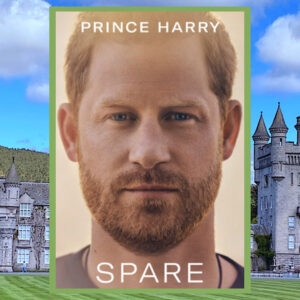 Read more about the article Spare
