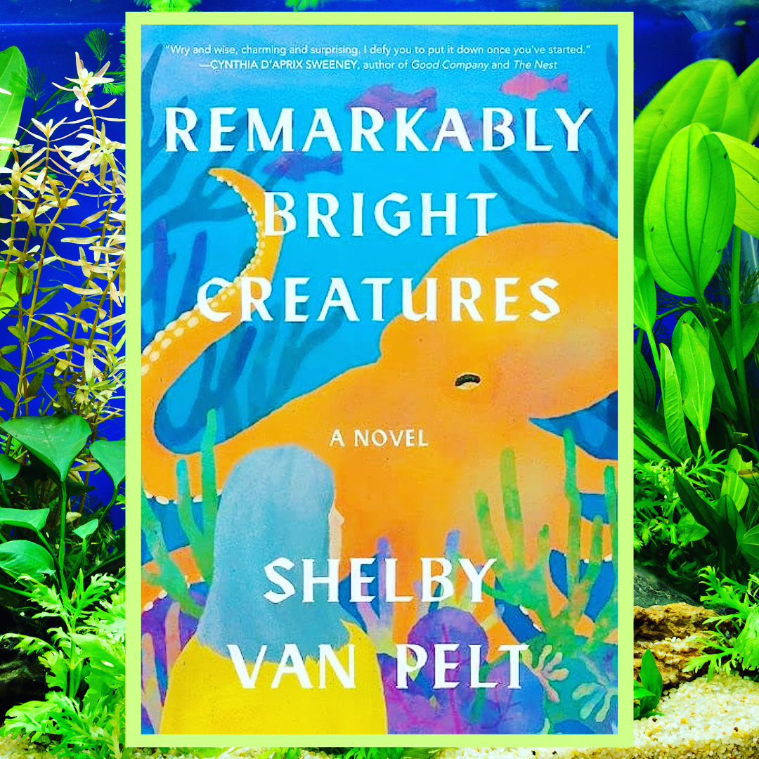 Read more about the article Remarkably Bright Creatures