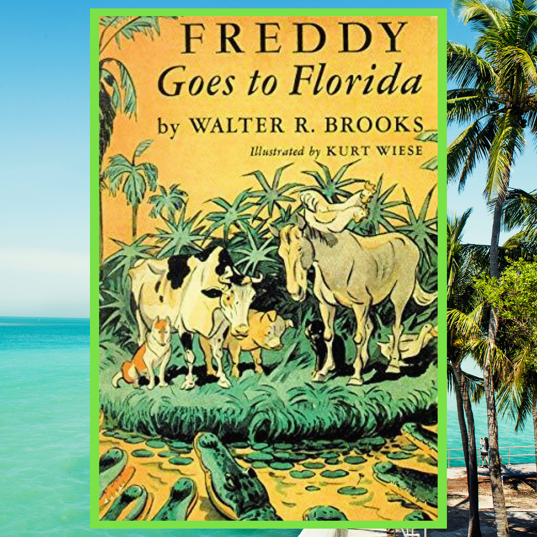 You are currently viewing Freddy goes to Florida