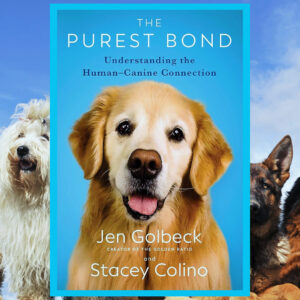 Read more about the article The Purest Bond